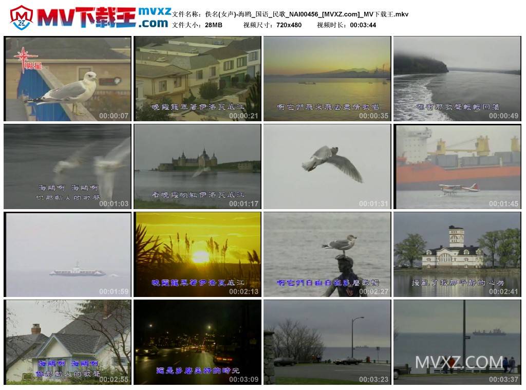 佚名(女声)-海鸥_国语_民歌_NAI00456